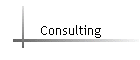 Consulting